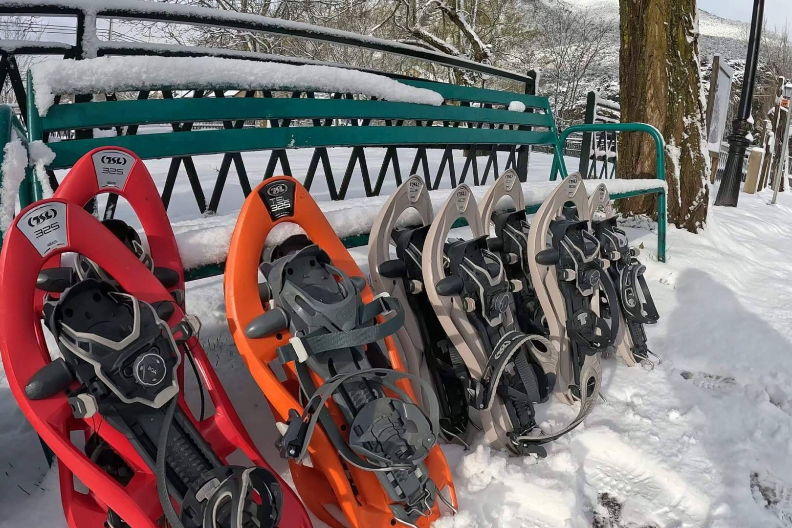 Raquetas de nieve, así se ha convertido el Pirineo Aragonés en el gran escenario del senderismo invernal