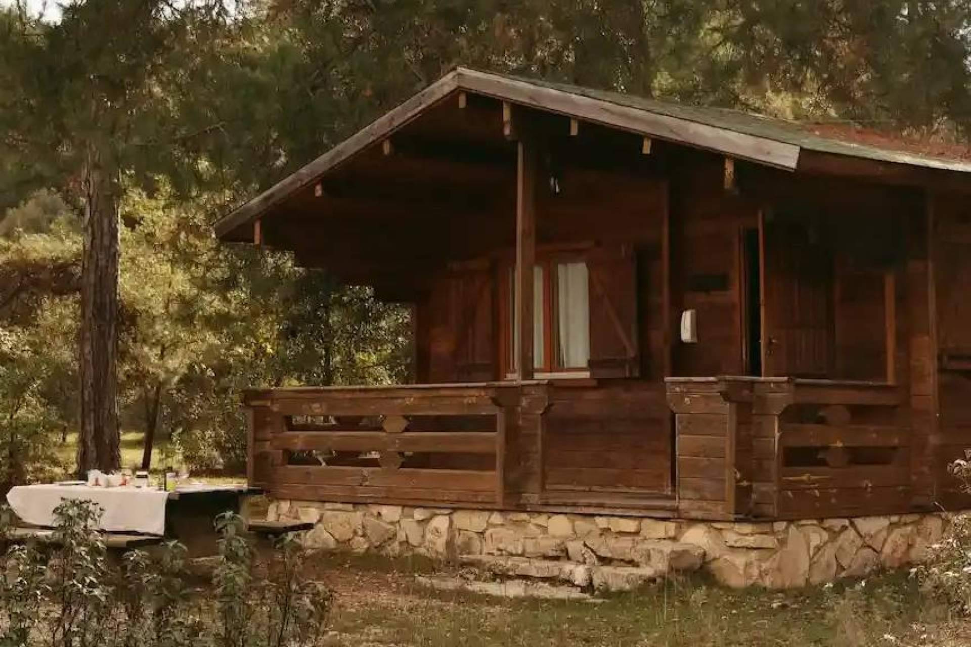 San Valentín en el bosque; El auge de las escapadas para reconectar en pareja