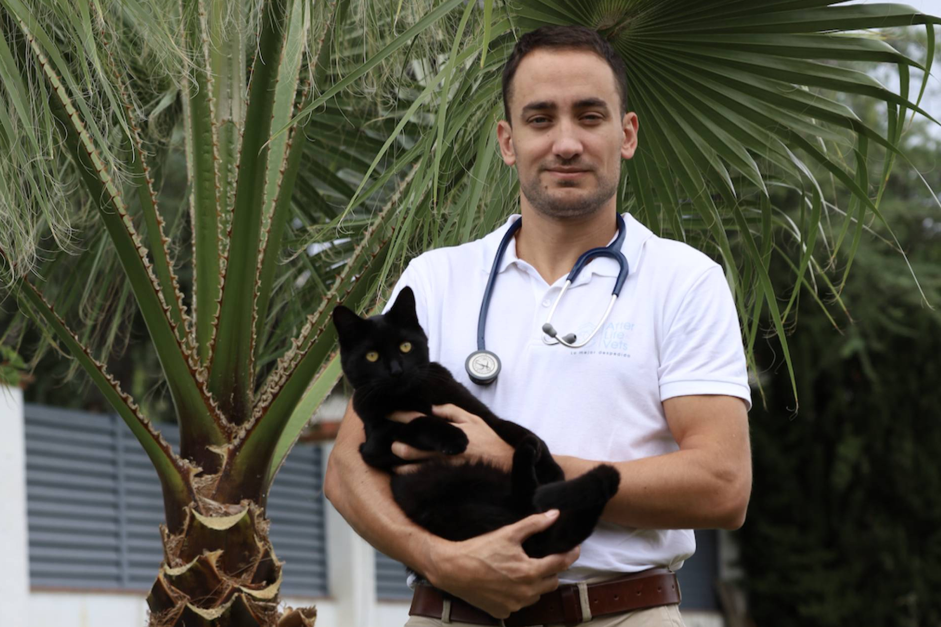 After Life Vets crece en toda España y busca veterinarios con vocación de acompañar