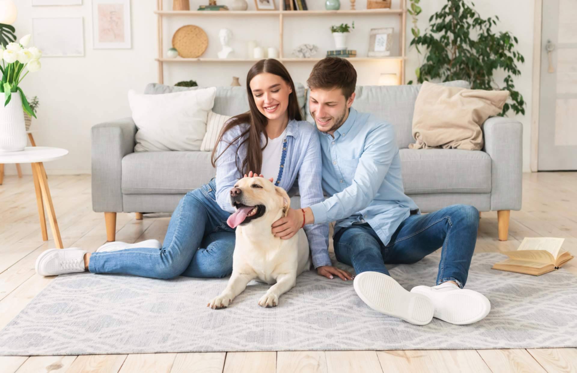 Terapia de pareja en primavera; una fase de renovación emocional en la pareja