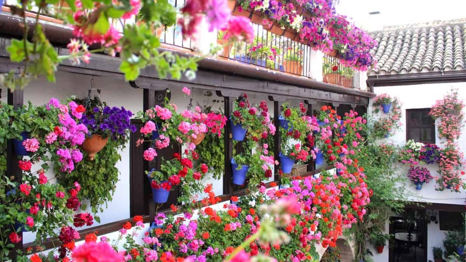 'Andalucía en flor', las escapadas recomendadas para descubrir la primavera andaluza