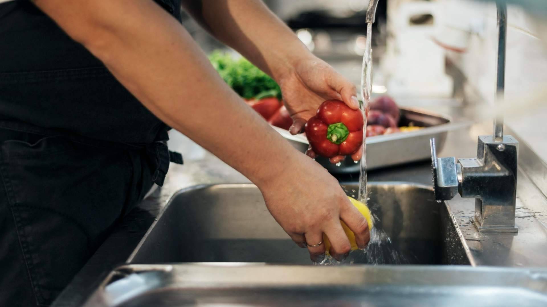 ¿Caduca el carnet de manipulador de alimentos? Esto es lo que dice la ley y lo que exigen las empresas en 2026