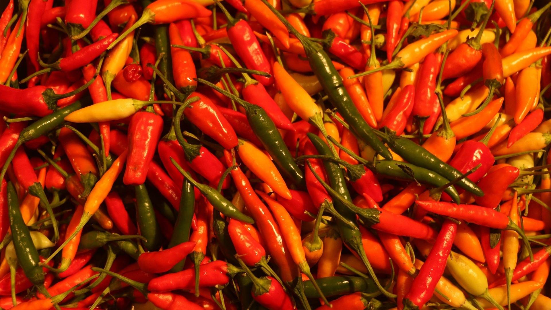 Picante; el inesperado efecto en el cerebro que explica por qué engancha