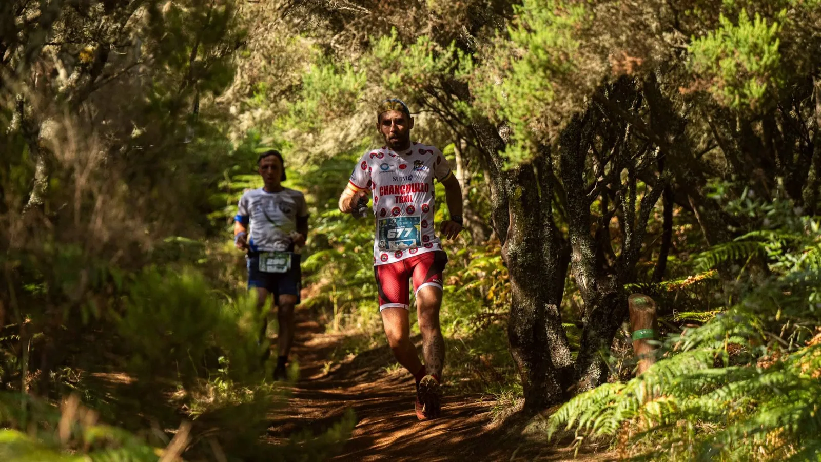 La lluvia rompió el camino; La Aguas de Teror Trail abrió otro