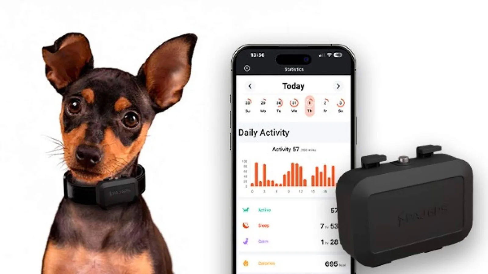 Localizador GPS para perros; el dispositivo ideal para mascotas aventureras